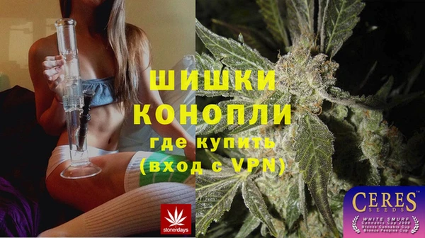стаф Белокуриха