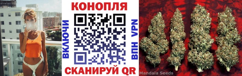 как найти   Волжск  kraken вход  Каннабис ГИДРОПОН 